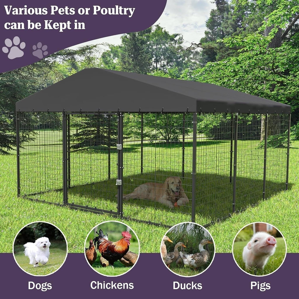 Grand chenil extérieur pour chien W 118 x D 118 x H 70, cage robuste pour chien avec toit imperméable